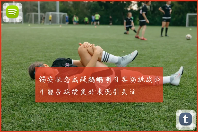 锡安状态成疑鹈鹕明日客场挑战公牛能否延续良好表现引关注